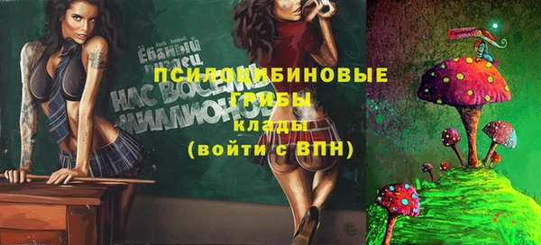 spice Няндома